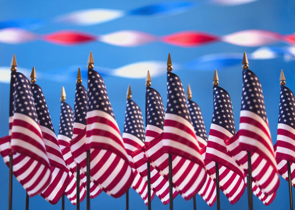 USA Flags