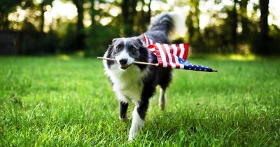 Be Safe on 4th of July