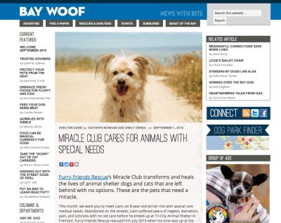 BayWoof