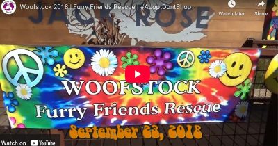 Woofstock 2018