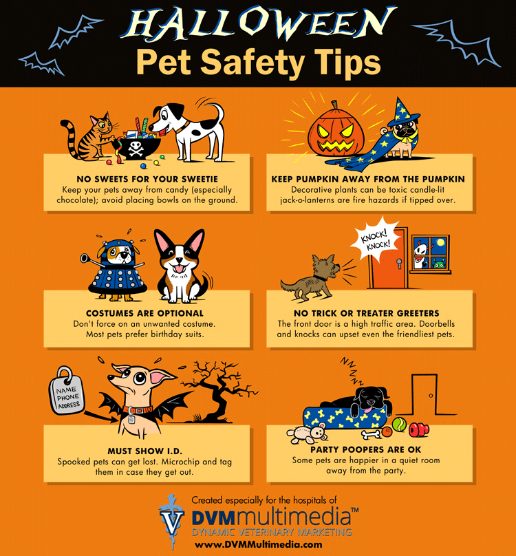 Halloween Pet Safety Tips