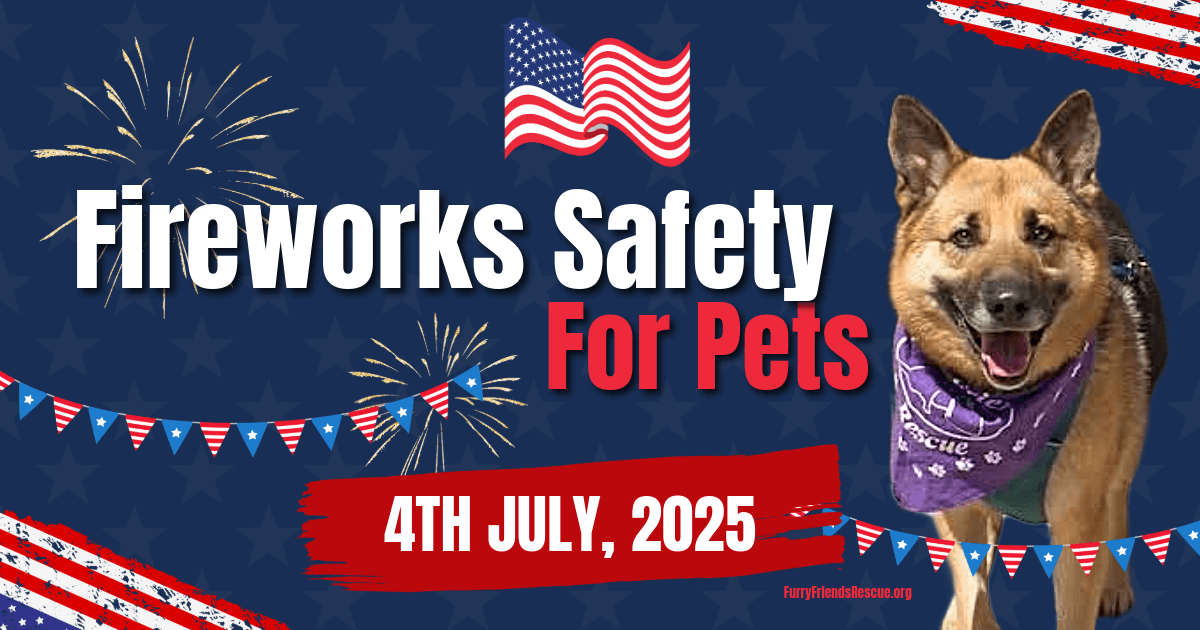 How to Keep Your Pets Calm During 4th of July Fireworks - Furry Friends ...