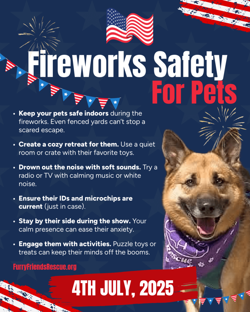Fireworks Safety for pets