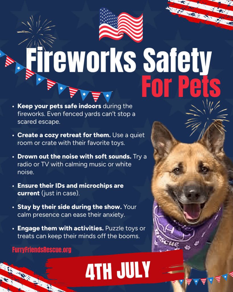 Fireworks safety for pets