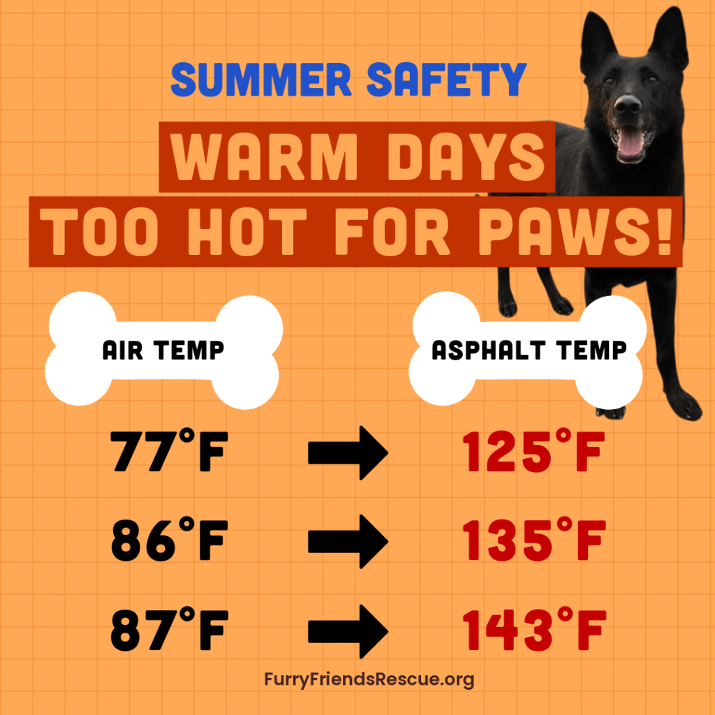 Summer Safety - Warm Days Too Hot for Paws!