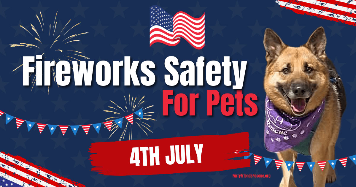 How to Keep Your Pets Calm During 4th of July Fireworks - Furry Friends ...