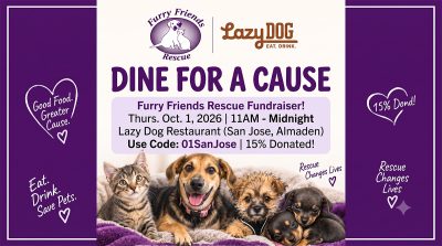 An event flyer titled "DINE FOR A CAUSE" supporting Furry Friends Rescue at Lazy Dog Restaurant. It features logos for Furry Friends Rescue and Lazy Dog, with the slogan "Great Food. A Greater Cause." The details specify the date: Thursday, October 1, 2026, 11:00 am – midnight, and the location: Lazy Dog Restaurant, 5305 Almaden Expressway, San Jose, CA 95118. A code is provided: "01SanJose" to have 15% of the total bill donated. Below this are adorable photos of various puppies and kittens, surrounded by decorative hearts and phrases like "Good Food. Greater Cause," "Eat. Drink. Save Pets," and "Rescue Changes Lives." At the bottom, instructions for takeout orders are given, directing users to select the participating location on lazydogrestaurants.com and enter the code. The flyer is set against a deep purple background with paw print and heart accents, and concludes with the phrase "LOCAL PETS. BRIGHTER TOMORROWS."